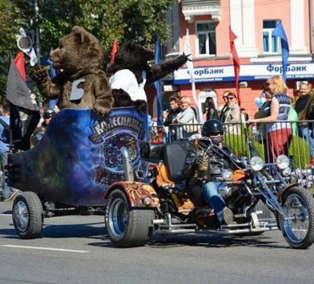 Медведи в Барнауле.