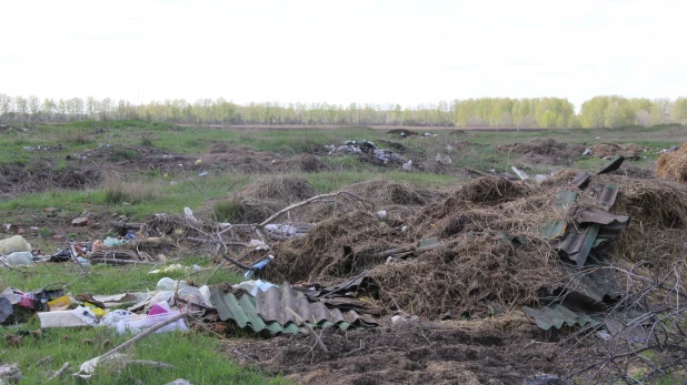 На Алтае администрацию района обвинили в порче земель