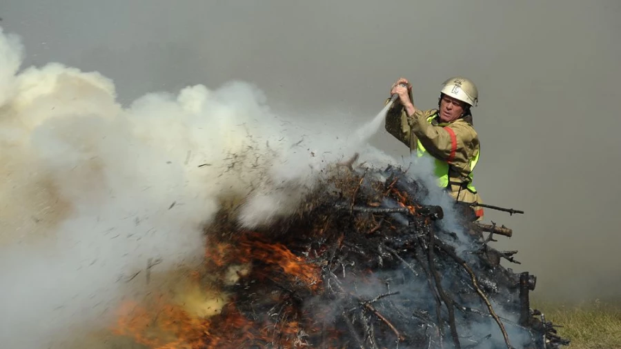 "Рискованно, зрелищно, профессионально".