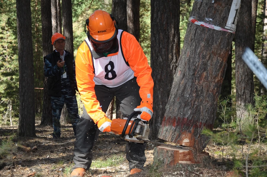 "Рискованно, зрелищно, профессионально".