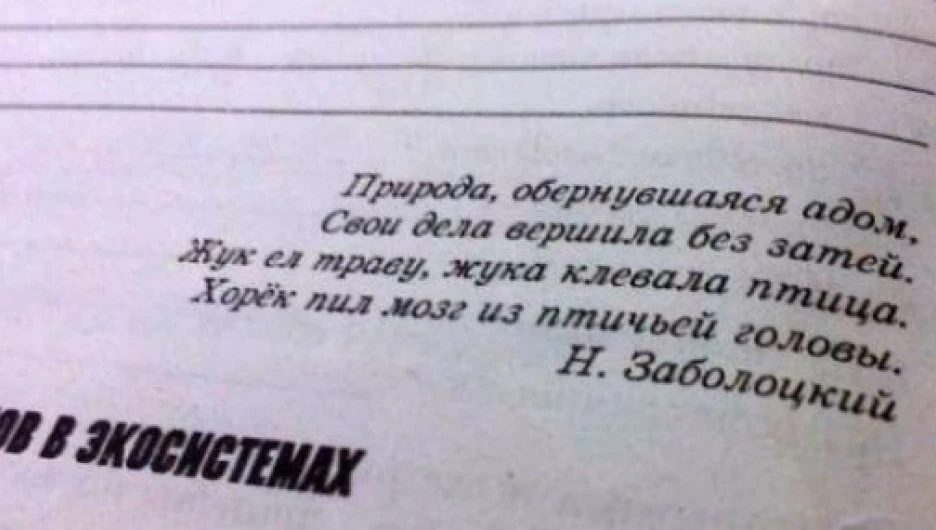 Затеявший. Задачи из учебников волосы дыбом. Задачи из учебников от которых волосы дыбом встают. Глупые стихи школьников. Н Заболоцкий природа обернувшаяся адом.