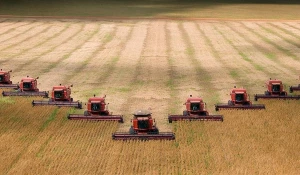 Реальная поддержка хозяйствам края.