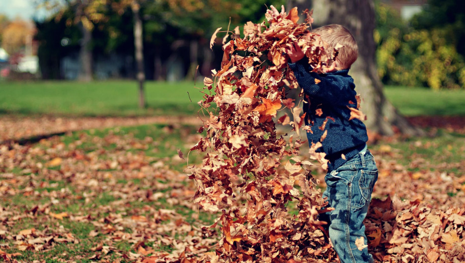 Ребенок играет с осенней листвой.