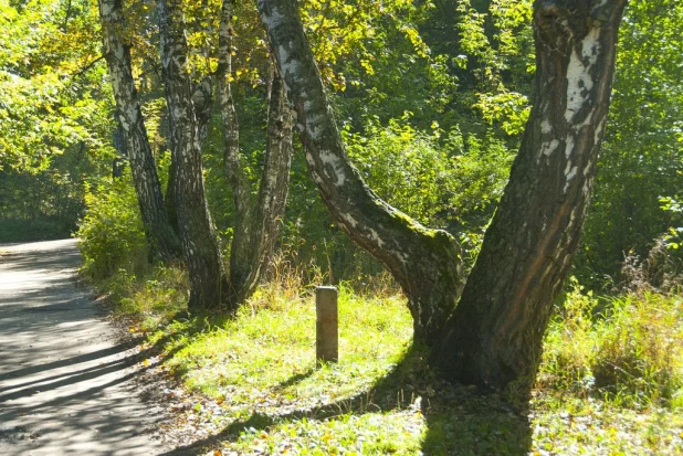 Парк "Юбилейный".