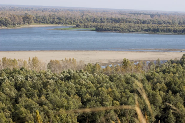 Осенний сезон в дендрарии