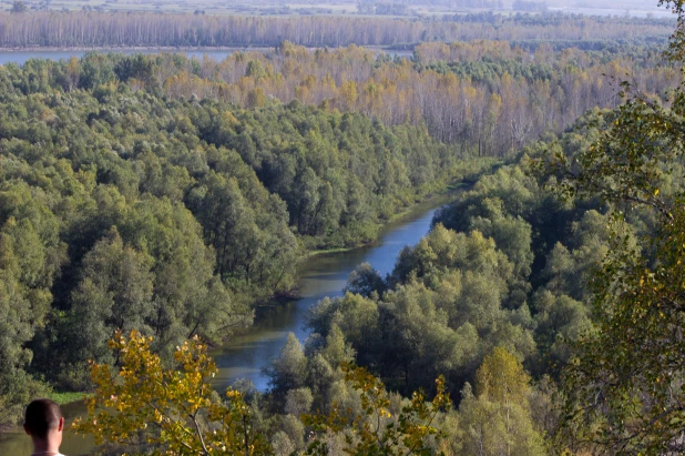 Осенний сезон в дендрарии