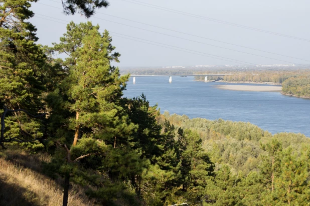 Осенний сезон в дендрарии