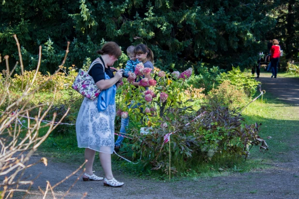 Осенний сезон в дендрарии