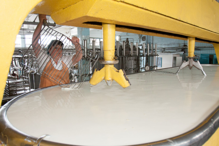 На экспериментальном молочной заводе &quot;Алтайского НИИ сыроделия&quot;