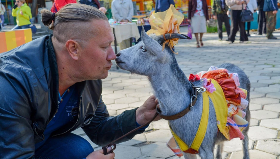 24 сентября в парке "Солнечный ветер" прошел Праздник козьего молока. 