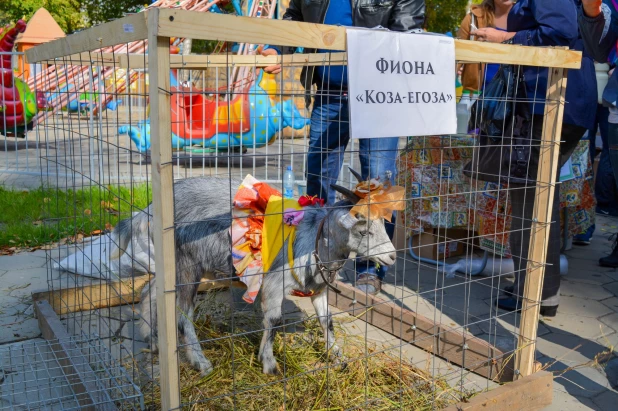 24 сентября в парке "Солнечный ветер" прошел Праздник козьего молока. 