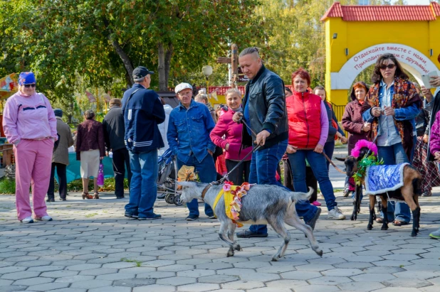 24 сентября в парке "Солнечный ветер" прошел Праздник козьего молока. 