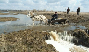 Паводок в 2006 году.