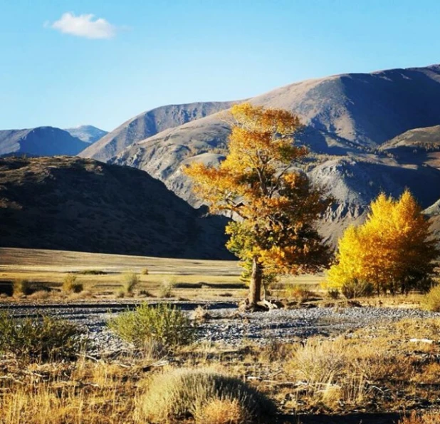 Осень в Горном Алтае.