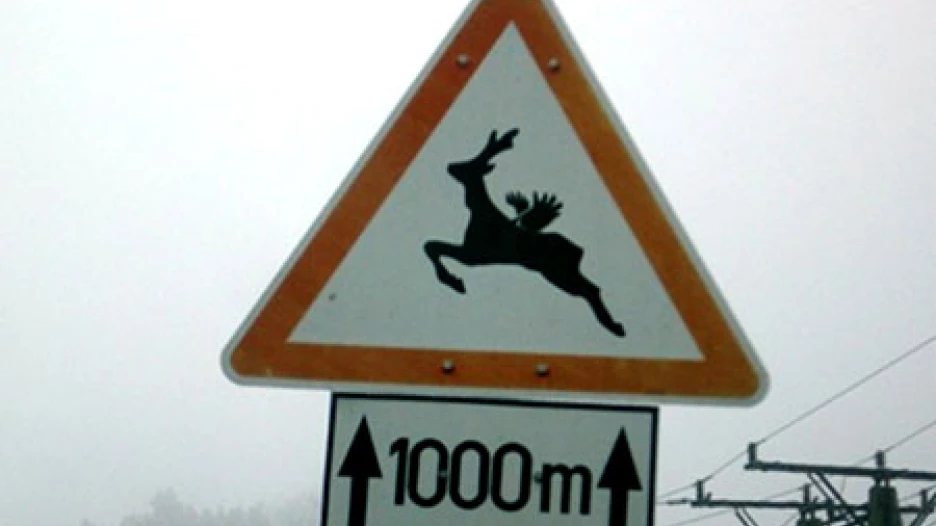 "Осторожно, олени". Швеция.