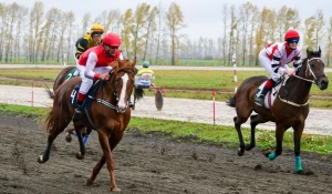 Скачки на ипподроме "Алтай".