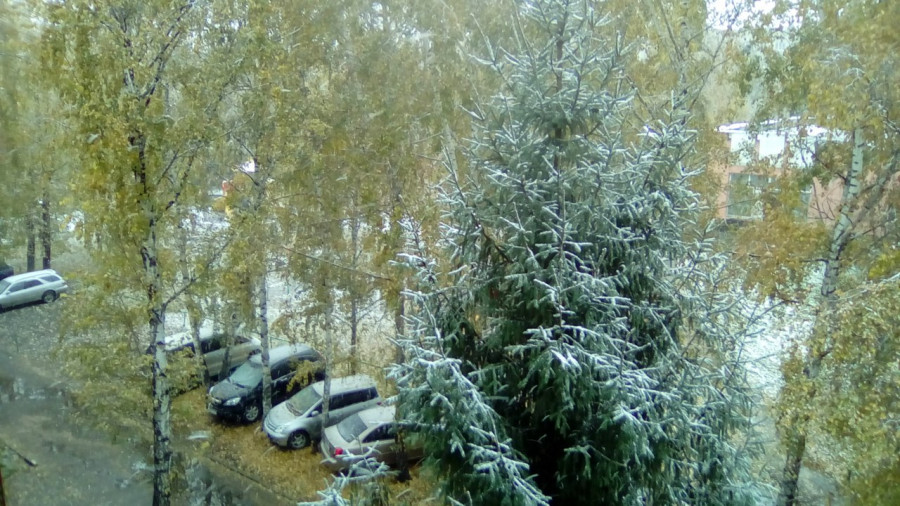 Первый снег в Барнауле.