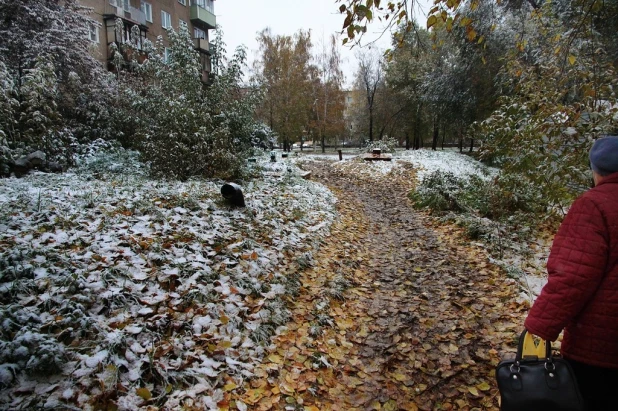 Первый снег в Барнауле. 8 октября 2016 года.