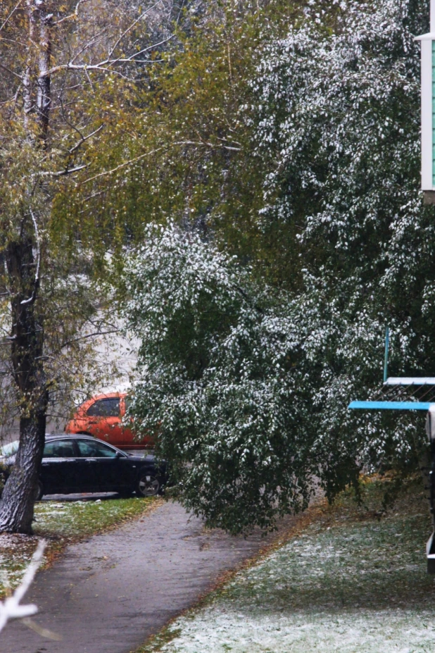 Первый снег в Барнауле. 8 октября 2016 года.