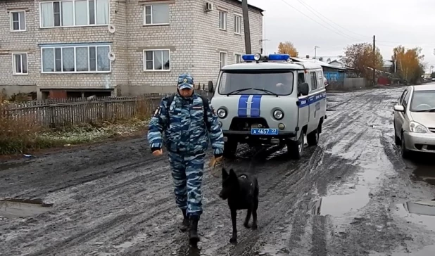 Полицейские ищут преступников, обокравших магазин в Камне-на-Оби.