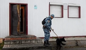 Полицейские ищут преступников, обокравших магазин в Камне-на-Оби.