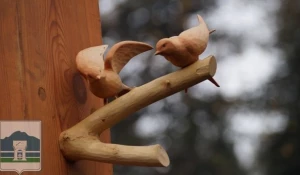 Памятник прищепке в Белокурихе