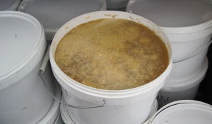 Мед из Казахстана.