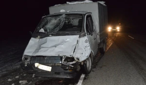 "Газель" сбила лошадь.