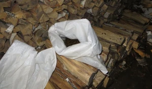 Изъятие наркотиков.