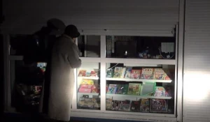 Кража в Заринске.