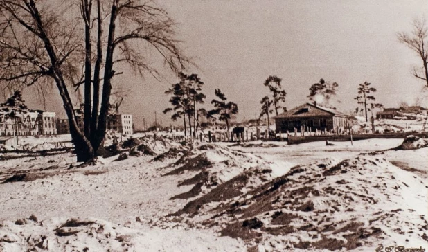 Остатки Дунькиной Рощи, место под студгородок АлтГТУ, 1950 год. Фото Л.И. Борисенко