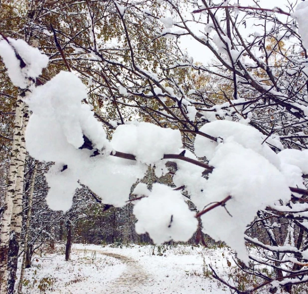 Снег в Сибири 25 октября.