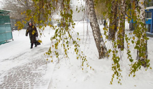 Снег в Барнауле, 25 октября 2016.