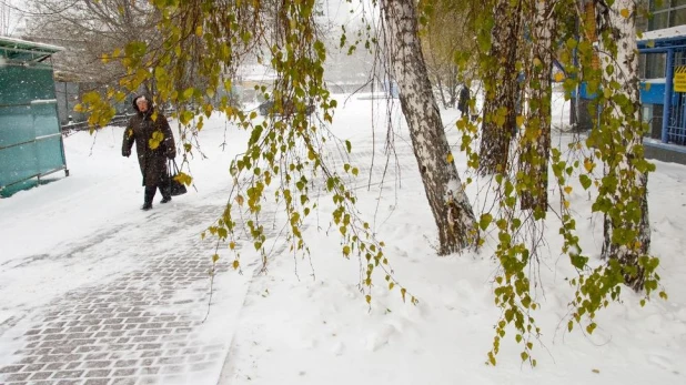 Снег в Барнауле, 25 октября 2016.