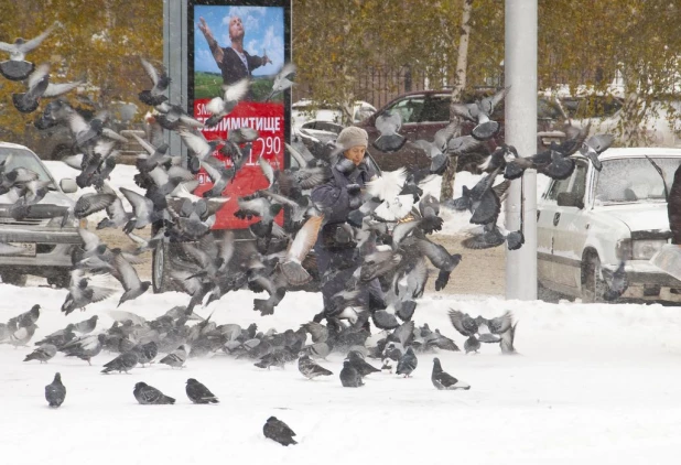 Снег в Барнауле, 25 октября 2016.