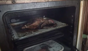 В Благовещенке украли двух уток из птичника.