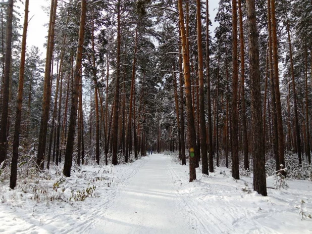 Лыжники готовятся к открытию сезона.