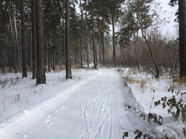 Лыжники готовятся к открытию сезона.