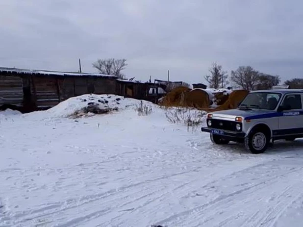 В Кулундинском районе полицейские нашли украденого козла.