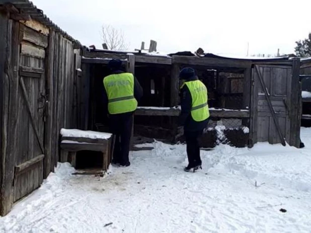 В Кулундинском районе полицейские нашли украденого козла.