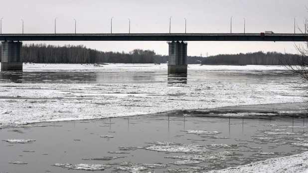 По Оби перед ледоставом идёт шуга.