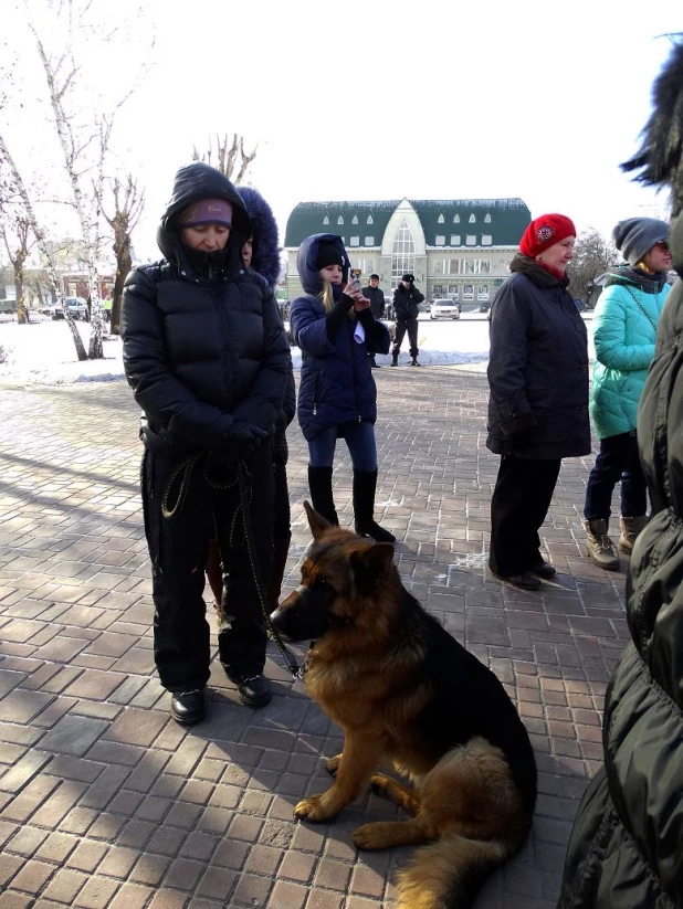 Акция "Россия без жестокости" в Барнауле.