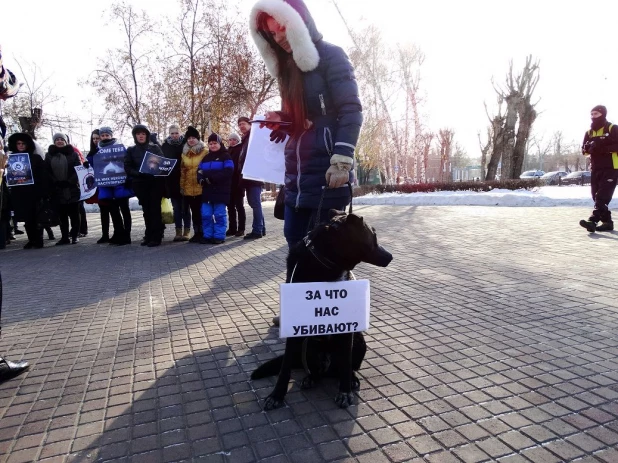 Акция "Россия без жестокости" в Барнауле.