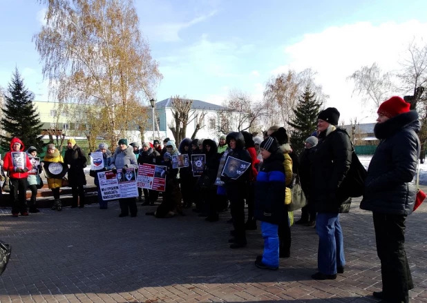 Акция "Россия без жестокости" в Барнауле.