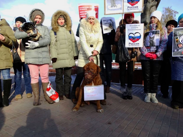 Акция "Россия без жестокости" в Барнауле.