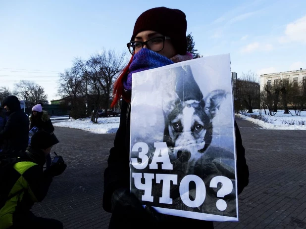 Акция "Россия без жестокости" в Барнауле.