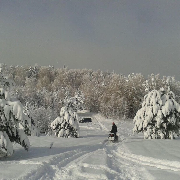 Заснеженный Алтай в ноябре.