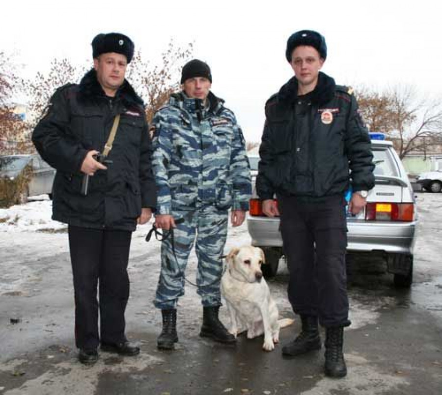 Полицейские, задержавшие на Новосиликатном молодых людей со &quot;спайсом&quot;.