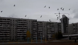 В Барнауле ожидается похолодание.