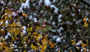 Снег. Тепло.